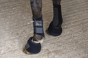 Picassoforhorses_cloche_Ounsia_01.webp