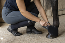 Picassoforhorses_cloche_01.webp