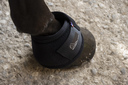 Picassoforhorses_cloche_06.webp