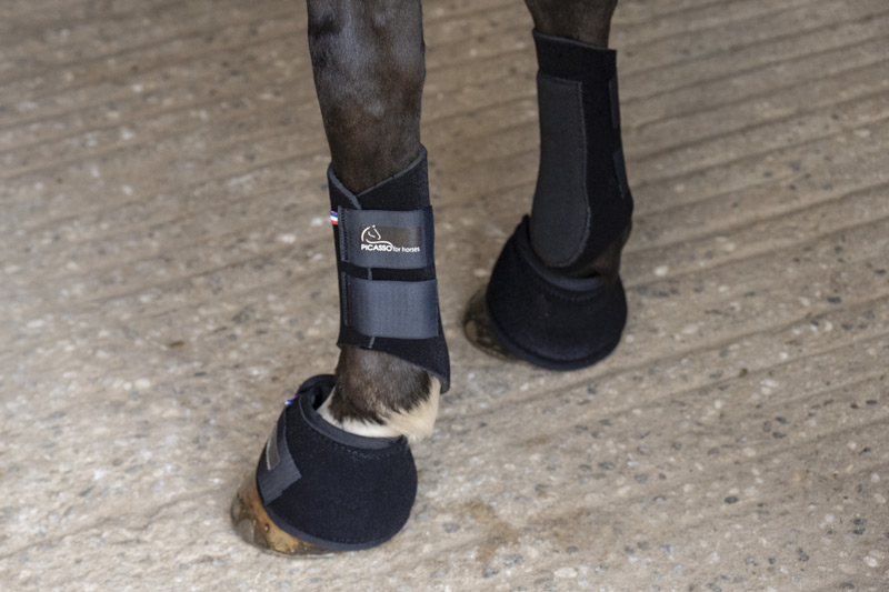 Picassoforhorses_cloche_Ounsia_01.webp
