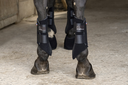 Picassoforhorses_cloche_Ounsia_02.webp