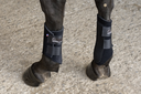 Picassoforhorses_Ounsia_02.webp