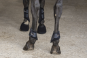 Picassoforhorses_Ounsia_protège-boulet_01.webp