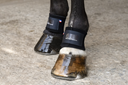 Picassoforhorses_protège_paturon_02.webp