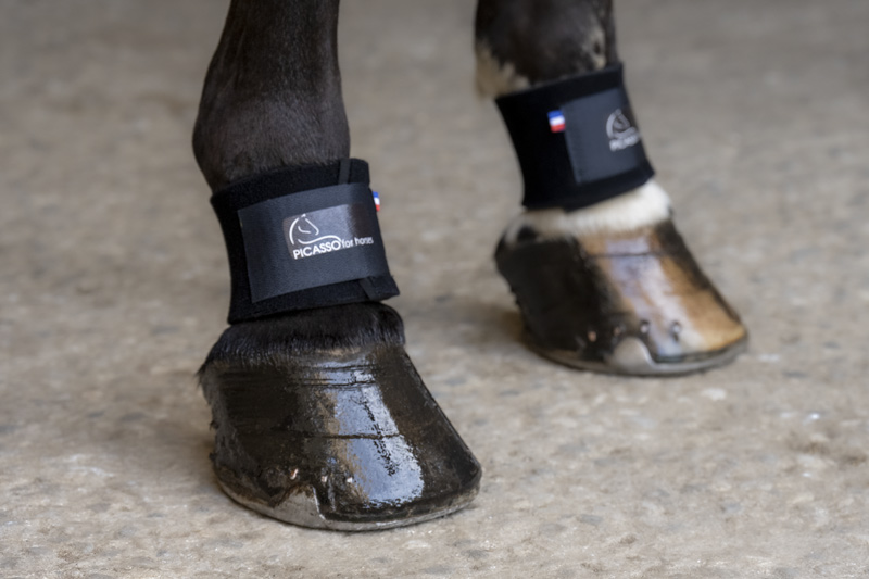 Picassoforhorses_protège_paturon_03.webp