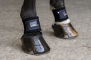 Picassoforhorses_protège_paturon_03.webp