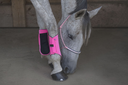 Picassoforhorses_protection_Ounsia_rose_mono_scratch_01.webp