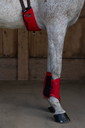 Picassoforhorses_sangle_Giuletta_Ounsia_01.webp